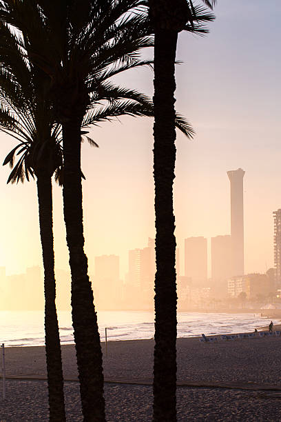 istock Tall palm tree silhouettes frame a tranquil beach scene during a hazy, golden sunrise. A coastal city skyline is visible in the distance. A concept of peaceful off-season travel. 2241872353