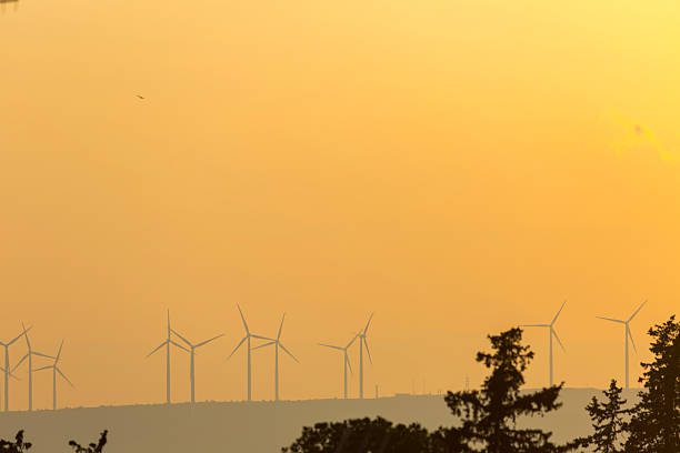 A wind farm with multiple turbines is silhouetted on a hazy, rolling landscape during a golden sunset. The serene scene highlights the harmony of renewable energy with the natural environment.