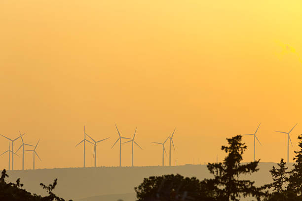 A wind farm with multiple turbines is silhouetted on a hazy, rolling landscape during a golden sunset. The serene scene highlights the harmony of renewable energy with the natural environment.