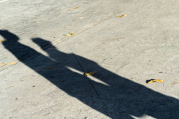 istock A persons long shadow on a concrete sidewalk with autumn leaves 2241887488