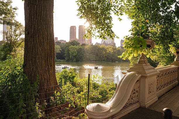 The lake in Central Park glows under the golden sunset as boats gently float on the water. A large tree, decorative railing, and flower planter frame the peaceful urban landscape of New York City.