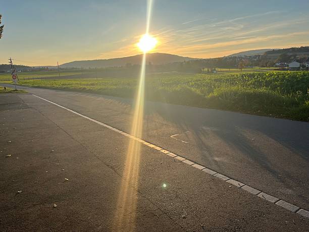 istock swiss_landscape_field_and_trees_sunset 2241890512