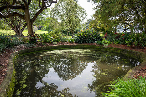 Iydlic Park in central Sydney, Australia