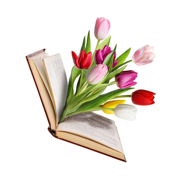 Open book with beautiful flowers between pages on white background