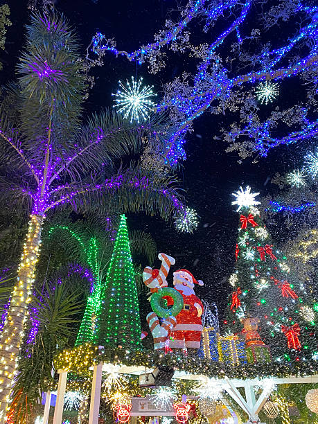istock Santa and Christmas Trees Under Sparkling Holiday Lights 2241907611