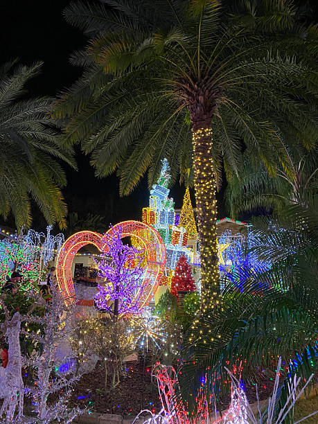 istock Palm Trees and Heart-Shaped Christmas Lights at Night 2241907788