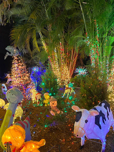 istock Colorful Animal Light Decorations in Garden 2241907896