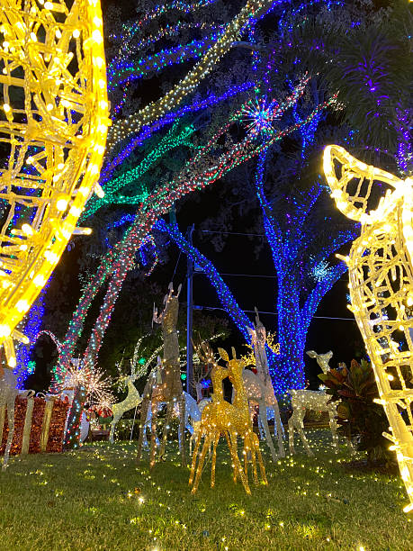 istock Golden and White Reindeer With Bright Trees at Night 2241908574