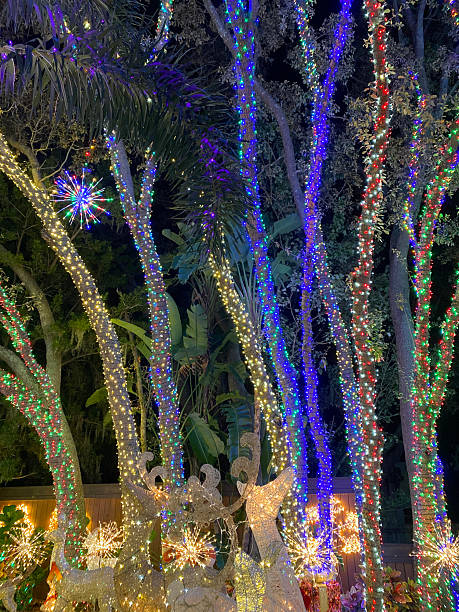 istock Colorful Tree Lights and Glowing Reindeer Figures 2241908613