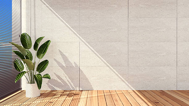 istock pot in sunlight from sliding door partition, blank white wall with baseboard. Luxury interior design decoration, fashion, beauty, product display 2241909310