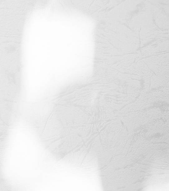 Shadow leaf background
