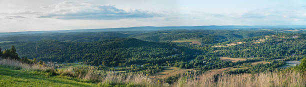 Panoramic aerial view of mountain landscape in the Pocono Mountains of Pennsylvania. The wide vista shows rolling hills covered with dense forest, open meadows, and farmland in the valley below. The scene captures a mix of wilderness and rural countryside under a partly cloudy sky. The foreground features grassy hillside vegetation with the sweeping mountain range extending to the horizon.
