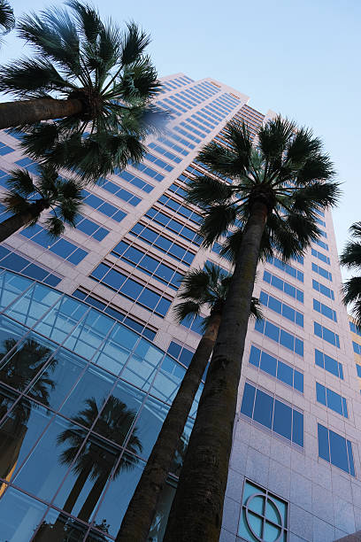 istock Tall Building in Downtown Sacramento 2241921290