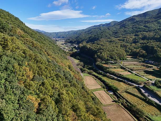 istock A lush green hillside with a view of a town below 2241926083
