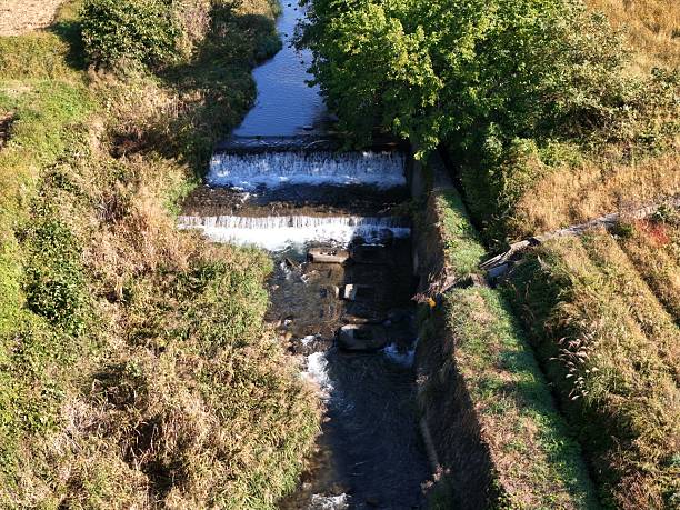 A stream of water flows through a wooded area. The water is clear and cold, and the trees are lush and green. The scene is peaceful and serene, with the sound of the water