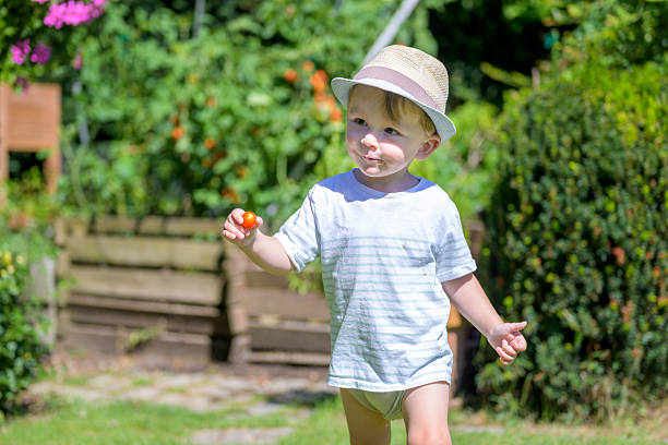 A young boy in a striped t-shirt and straw hat smiles while holding a small tomato in a sunny garden.