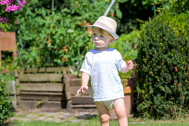 A young boy in a striped t-shirt and straw hat holds a tomato while walking barefoot in a sunny garden.