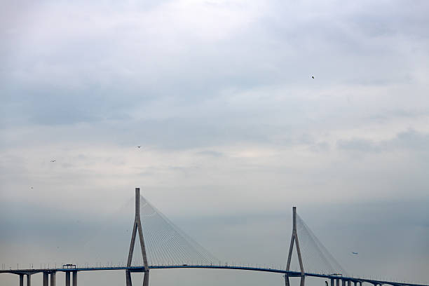 Modern Suspension Bridge Cables Framing a Dramatic Sky – Structural Lines and Nature
