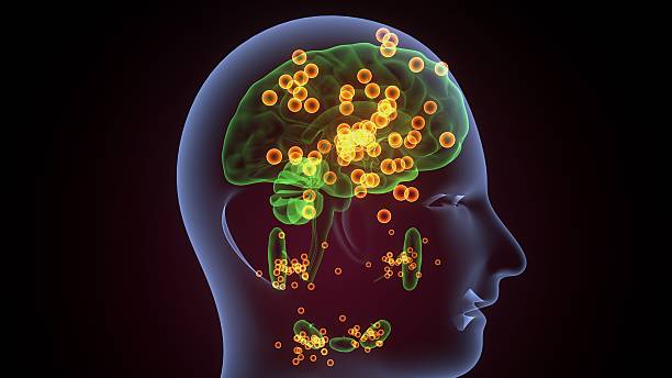 istock Human glands anatomy. 3d illustrations 2241939529