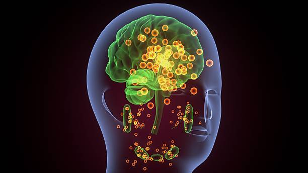 istock Human glands anatomy. 3d illustrations 2241939530