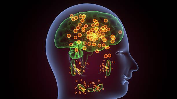 istock Human glands anatomy. 3d illustrations 2241939534