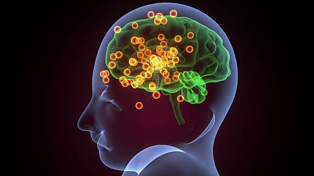 istock Human glands anatomy. 3d illustrations 2241939537
