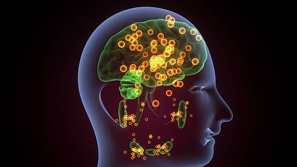 istock Human glands anatomy. 3d illustrations 2241939540