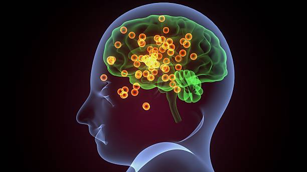 istock Human glands anatomy. 3d illustrations 2241939576