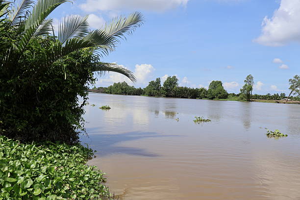 Serene river landscape, lush greenery on the banks, clear blue sky reflected in calm water, perfect for nature-themed content.