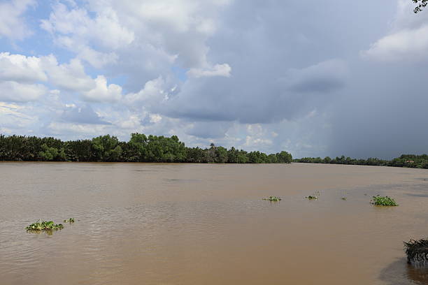 istock Calm river landscape, tranquil muddy waters reflecting cloudy sky, serene nature scene perfect for relaxation and mindfulness. 2241949503
