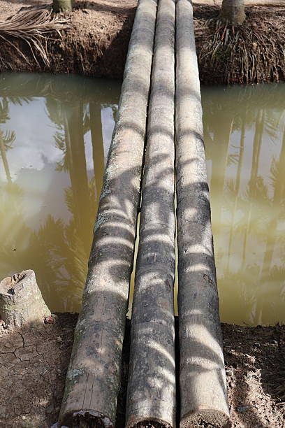 Natural logs stacked by a serene riverbank, rustic wood textures, tranquil environment, ideal for nature-themed projects.