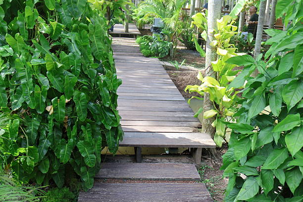 Wooden pathway, lush greenery on both sides, inviting nature trail surrounded by vibrant foliage, serene outdoor escape.