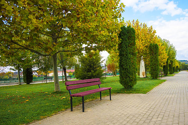 An orange bench is nestled among dense green vegetation, offering a serene scene amid natural surroundings. Ideal for nature enthusiasts and moments of quiet reflection. Highlighting the peacefulness of the outdoor setting.