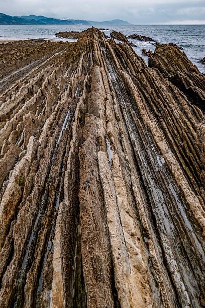 Dramatic Vertical Perspective Zumaia Flysch Rock Formation at Low Tide in Basque Coast