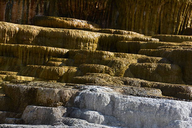 Yellowstone National Park, Wyoming, USA: Palette Spring, located in the Mammoth Hot Springs area of Yellowstone National Park, is a prominent travertine terrace formed by hot water emerging from the Mammoth thermal system. As the mineral-rich water cools at the surface, it deposits calcium carbonate, creating the spring’s characteristic cascading formations and white to orange coloration. The vivid hues result from thermophilic microorganisms and mineral oxidation. Palette Spring is part of the dynamic hydrothermal network on the northern edge of the Yellowstone Caldera, where constant changes in water flow and temperature reshape the terraces over time.