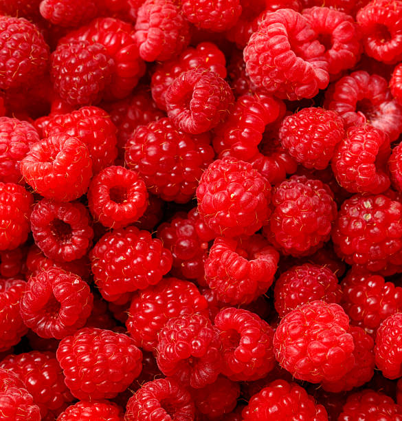 istock A bunch of red raspberries 2241955811