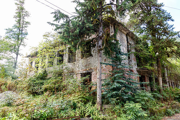 istock A house with a lot of vines growing on it 2241955857