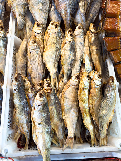 istock A large pile of fish is displayed in a white container 2241956709