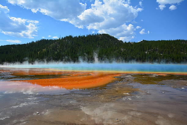 istock yellostone national park 2241957414