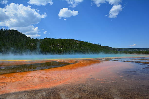 istock yellostone national park 2241957416