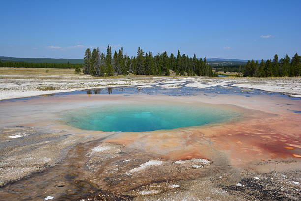 istock yellostone national park 2241957469