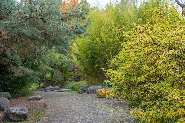 A cobblestone path winds through lush greenery with pine trees and bushes. Soft autumn tones hint at the seasonal change in the botanical garden.