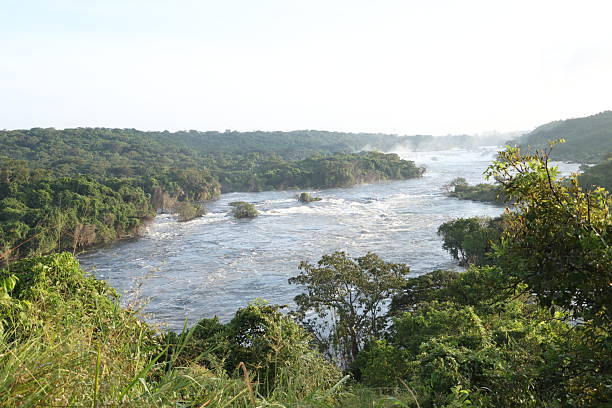 istock Kafu River Flowing Through Lush Green Forest Landscape in Uganda 2241969469