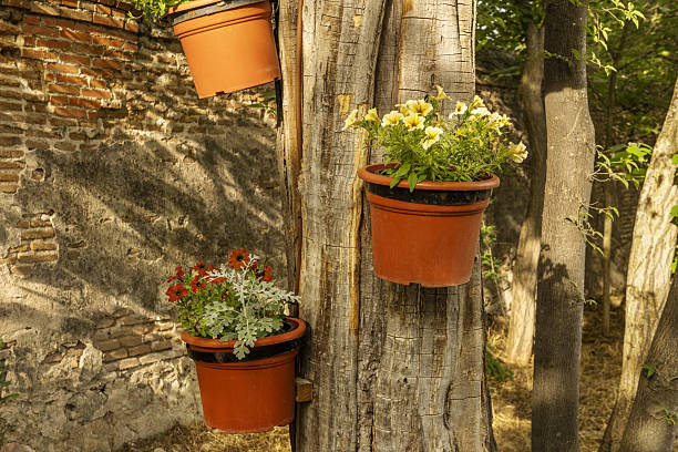 A tree trunk loaded with pots in an urban park on a sunny day next to a brick wall