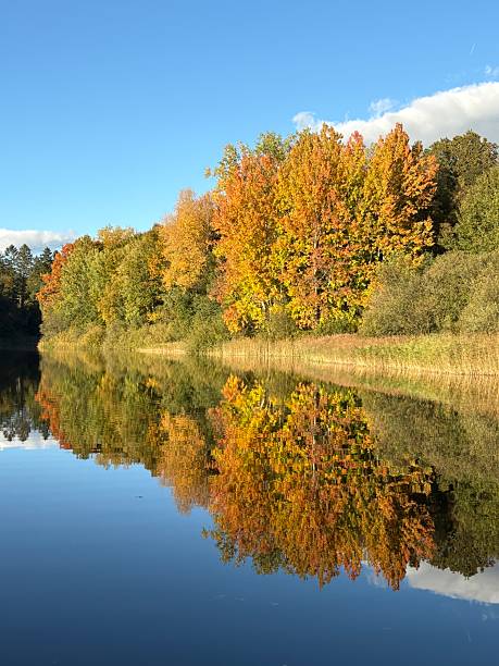 istock Indian Summer in Holstein Switzerland, northern Germany 2241972196