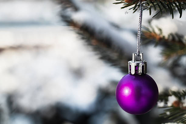 istock Purple Christmas balls close up hangs on snow covered tree. Copy space. 2241972661