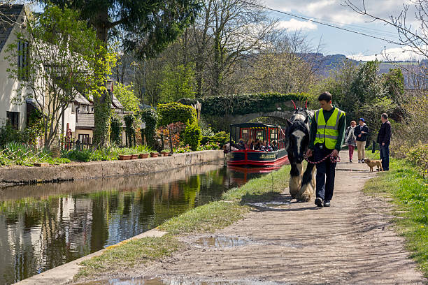 View of a horse drawn boat in Llangollen, UK. A man can be seen with the boat and people can be seen on the boat.