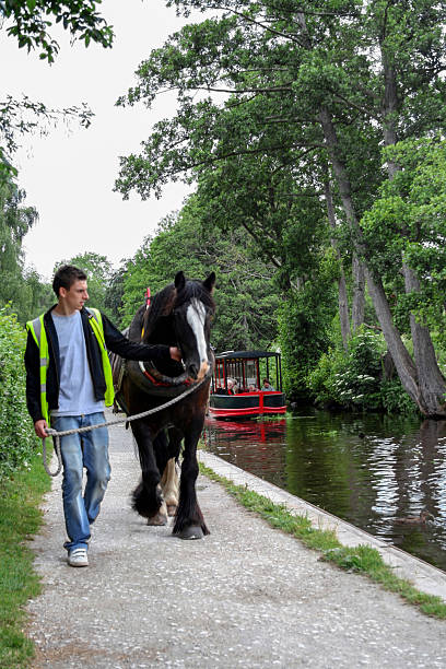 View of a horse drawn boat in Llangollen, UK. A man can be seen with the boat and people can be seen on the boat.