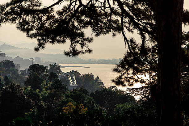 View of Batumi at sunset from the forest.