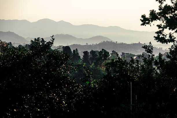 A mountain range is visible in the distance with a forest in the foreground. The sky is cloudy and the trees are lush and green